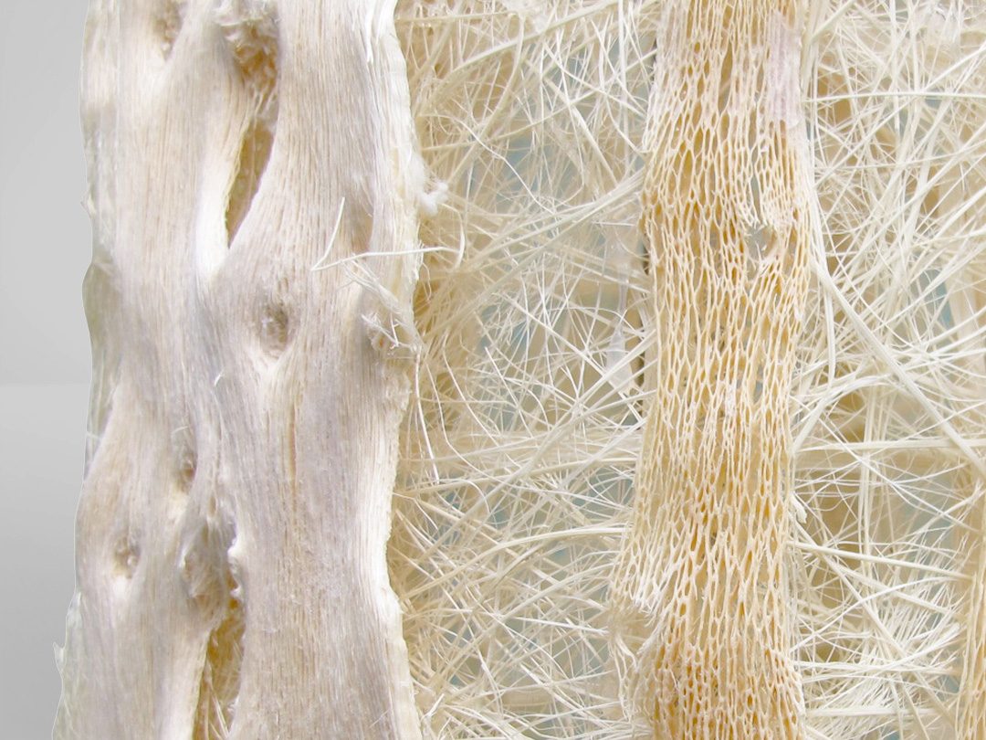 Detalle de madera blanqueada y fibras naturales