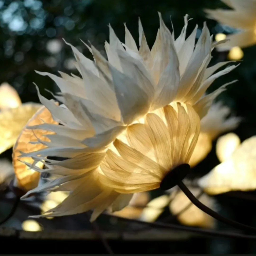 Detalle de una flor de luz de pétalos blancos, encendida